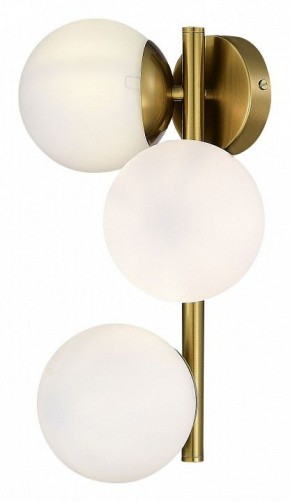 Бра EVOLUCE Fratta SLE1191-201-03 в Губкинском - gubkinskiy.mebel24.online | фото 4