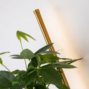 Бра Favourite Greenery 4050-1W в Губкинском - gubkinskiy.mebel24.online | фото 10