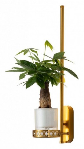 Бра Favourite Greenery 4050-1W в Губкинском - gubkinskiy.mebel24.online | фото 3