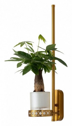Бра Favourite Greenery 4050-1W в Губкинском - gubkinskiy.mebel24.online | фото 4