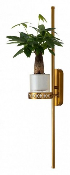 Бра Favourite Greenery 4050-2W в Губкинском - gubkinskiy.mebel24.online | фото 11