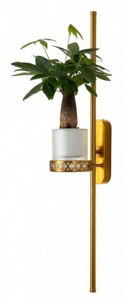 Бра Favourite Greenery 4050-2W в Губкинском - gubkinskiy.mebel24.online | фото 3