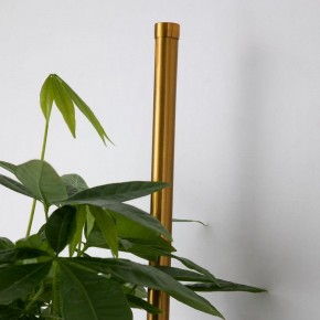 Бра Favourite Greenery 4050-2W в Губкинском - gubkinskiy.mebel24.online | фото 8