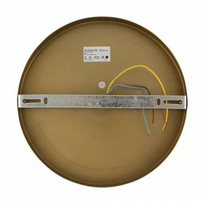 Бра Freya Zelda FR5125WL-01BS в Губкинском - gubkinskiy.mebel24.online | фото 6