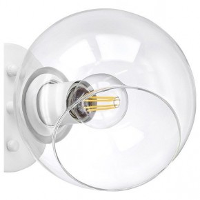Бра Lightstar Beta 785616 в Губкинском - gubkinskiy.mebel24.online | фото 5