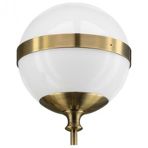 Бра Lightstar Globo 813611 в Губкинском - gubkinskiy.mebel24.online | фото 3