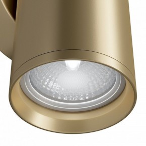 Бра Maytoni Focus S C068WL-02MG в Губкинском - gubkinskiy.mebel24.online | фото 4
