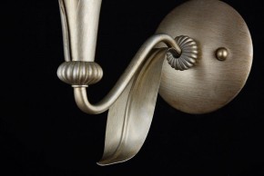 Бра Maytoni Lillian H311-01-G в Губкинском - gubkinskiy.mebel24.online | фото 7