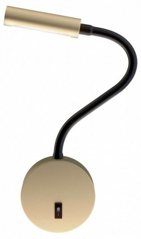 Бра Maytoni Stem C035WL-L3MG3K в Губкинском - gubkinskiy.mebel24.online | фото