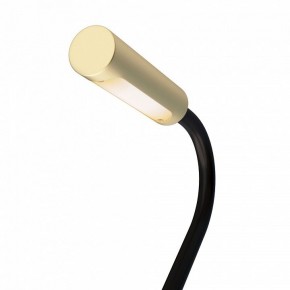 Бра Maytoni Stem C035WL-L3MG3K в Губкинском - gubkinskiy.mebel24.online | фото 6