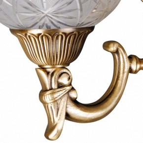 Бра MW-Light Афродита 2 317021902 в Губкинском - gubkinskiy.mebel24.online | фото 5