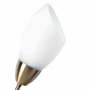 Бра MW-Light Нежность 7 356023001 в Губкинском - gubkinskiy.mebel24.online | фото 2
