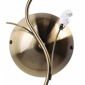 Бра MW-Light Нежность 7 356023001 в Губкинском - gubkinskiy.mebel24.online | фото 3