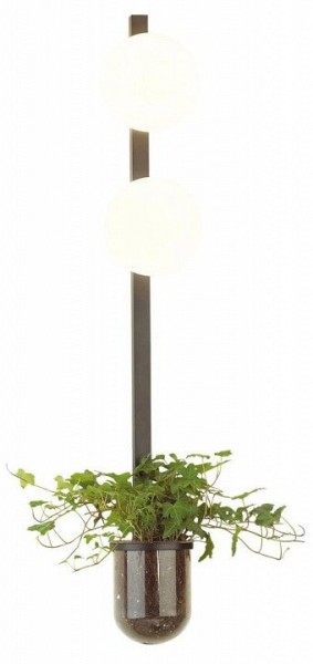 Бра Odeon Light Flower 4681/2WA в Губкинском - gubkinskiy.mebel24.online | фото 3
