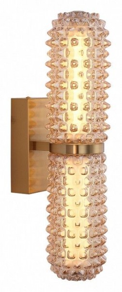 Бра ST-Luce SAGUARO SL6144.301.01 в Губкинском - gubkinskiy.mebel24.online | фото 2