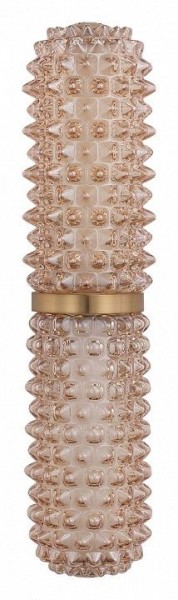 Бра ST-Luce SAGUARO SL6144.301.01 в Губкинском - gubkinskiy.mebel24.online | фото 4
