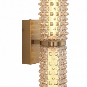 Бра ST-Luce SAGUARO SL6144.301.01 в Губкинском - gubkinskiy.mebel24.online | фото 6