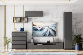 ДЕНВЕР Пенал (Графит серый) в Губкинском - gubkinskiy.mebel24.online | фото 4