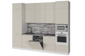 ДЮНА Кухонный гарнитур Экстра 2 (3000 мм) в Губкинском - gubkinskiy.mebel24.online | фото 5