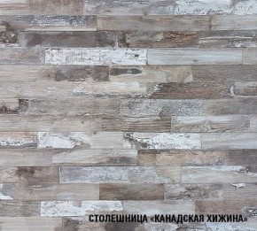 ДЮНА Кухонный гарнитур Экстра 2 (3000 мм) в Губкинском - gubkinskiy.mebel24.online | фото 7