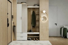 Гарнитур для прихожей Торонто в Губкинском - gubkinskiy.mebel24.online | фото 5