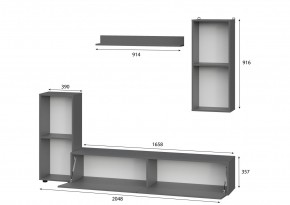 Гостиная МГС 10 (Графит) в Губкинском - gubkinskiy.mebel24.online | фото 2