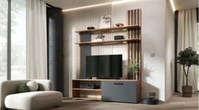 КАРОЛИНА Гостиная (дуб вотан/графит) в Губкинском - gubkinskiy.mebel24.online | фото