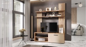 КАРОЛИНА Гостиная (дуб вотан/кашемир) в Губкинском - gubkinskiy.mebel24.online | фото