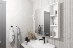 Кларити Шкаф зеркальный 16.312.03 в Губкинском - gubkinskiy.mebel24.online | фото