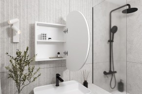 Кларити Шкаф зеркальный 16.312.04 в Губкинском - gubkinskiy.mebel24.online | фото 2