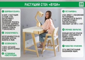 Комплект растущий стол и стул с чехлом 38 попугаев «Вуди» (Серый, Береза, Салют) в Губкинском - gubkinskiy.mebel24.online | фото