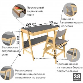 Комплект растущий стол и стул с чехлом 38 попугаев «Вуди» (Серый, Береза, Серый) в Губкинском - gubkinskiy.mebel24.online | фото