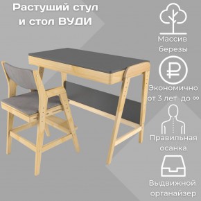 Комплект растущий стол и стул с чехлом 38 попугаев «Вуди» (Серый, Без покрытия, Серый) в Губкинском - gubkinskiy.mebel24.online | фото