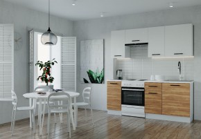 Кухонный гарнитур Лада 2000 (Стол. 38мм) в Губкинском - gubkinskiy.mebel24.online | фото
