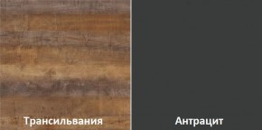 Кухонный гарнитур угловой Трансильвания 2600х1600 мм (Стол. 38 мм) в Губкинском - gubkinskiy.mebel24.online | фото 3