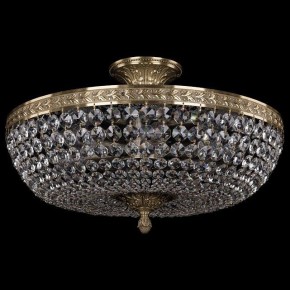 Люстра на штанге Bohemia Ivele Crystal 1911 19111/45IV Pa в Губкинском - gubkinskiy.mebel24.online | фото 2