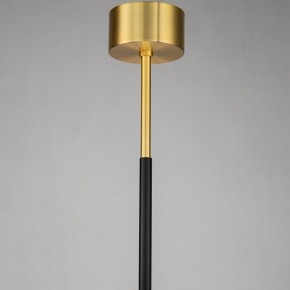 Люстра на штанге Favourite Maximo 2623-12P в Губкинском - gubkinskiy.mebel24.online | фото 7