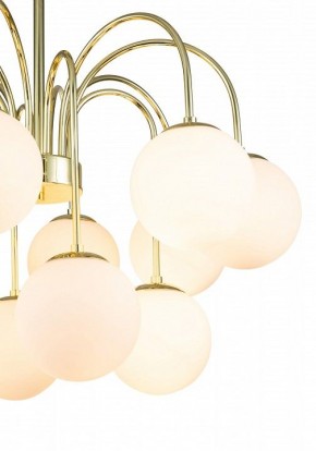 Люстра на штанге Indigo Voga 13017/12R Gold в Губкинском - gubkinskiy.mebel24.online | фото 6