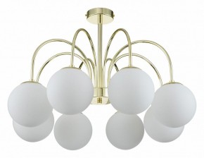 Люстра на штанге Indigo Voga 13017/8R Gold в Губкинском - gubkinskiy.mebel24.online | фото 1