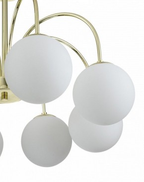Люстра на штанге Indigo Voga 13017/8R Gold в Губкинском - gubkinskiy.mebel24.online | фото 5