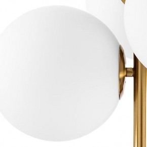 Люстра на штанге Lightstar Croco 815031 в Губкинском - gubkinskiy.mebel24.online | фото 3