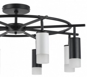 Люстра на штанге Lightstar Rullo LR7183743641 в Губкинском - gubkinskiy.mebel24.online | фото 4
