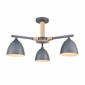 Люстра на штанге Lumion Colange 8096/3C в Губкинском - gubkinskiy.mebel24.online | фото 2