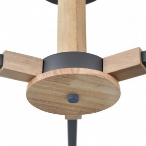 Люстра на штанге Lumion Colange 8096/3C в Губкинском - gubkinskiy.mebel24.online | фото 7