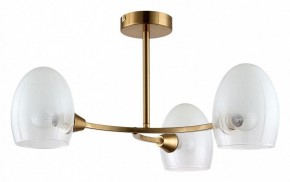 Люстра на штанге Lumion Kendall 6514/3C в Губкинском - gubkinskiy.mebel24.online | фото
