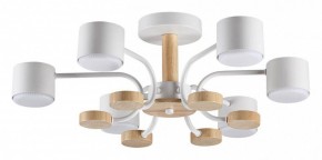 Люстра на штанге Lumion Rondo 8231/6C в Губкинском - gubkinskiy.mebel24.online | фото