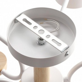 Люстра на штанге Lumion Rondo 8231/6C в Губкинском - gubkinskiy.mebel24.online | фото 6