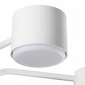Люстра на штанге Lumion Rondo 8231/6C в Губкинском - gubkinskiy.mebel24.online | фото 7