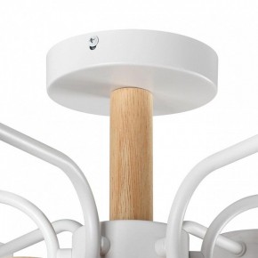 Люстра на штанге Lumion Rondo 8231/6C в Губкинском - gubkinskiy.mebel24.online | фото 8