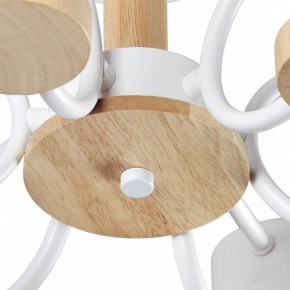 Люстра на штанге Lumion Rondo 8231/6C в Губкинском - gubkinskiy.mebel24.online | фото 9